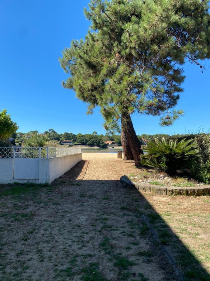 Un cocon climatisé au bord du Lac d’Hossegor Soorts-Hossegor Extérieur photo